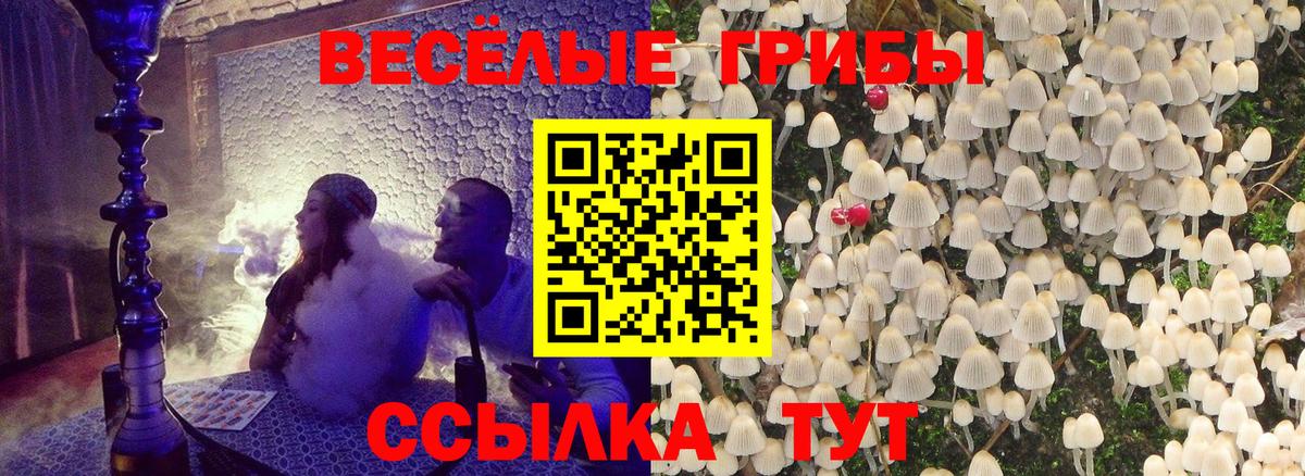 Псилоцибиновые грибы MAGIC MUSHROOMS Богданович