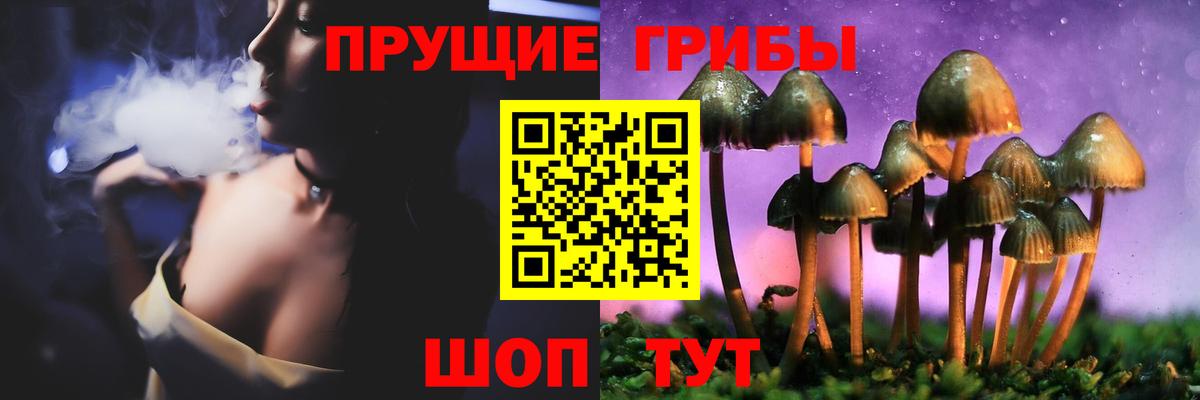Богданович  Псилоцибиновые грибы MAGIC MUSHROOMS  Вход с VPN  Псилоцибиновые грибы Psilocybine cubensis 